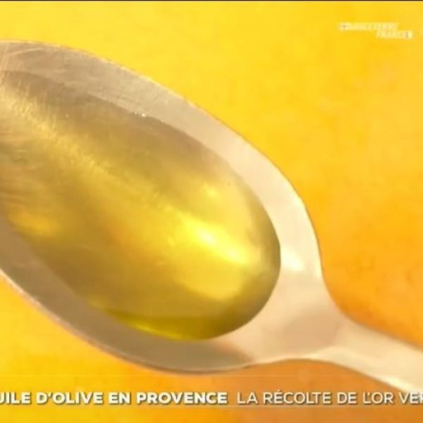 huile d'olive haute-provence tf1